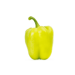 פלפל נהריה