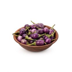 חצילונים