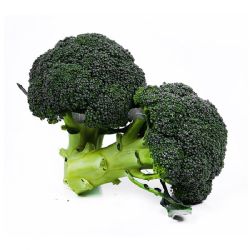ברוקולי גוש קטיף