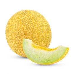 מלון