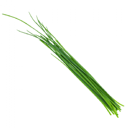 עירית